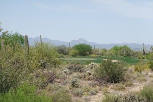 Dove Mountain (Wild Burro) 8th